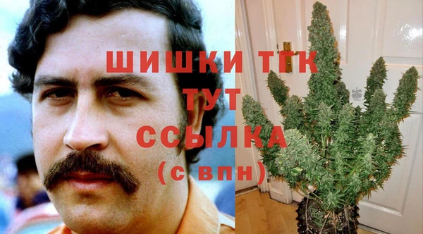 apvp Аркадак
