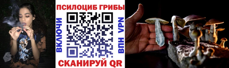 что такое   Агрыз  Псилоцибиновые грибы Magic Shrooms 